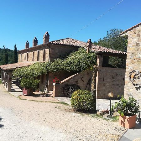 Agriturismo Selvella Allerona ภายนอก รูปภาพ