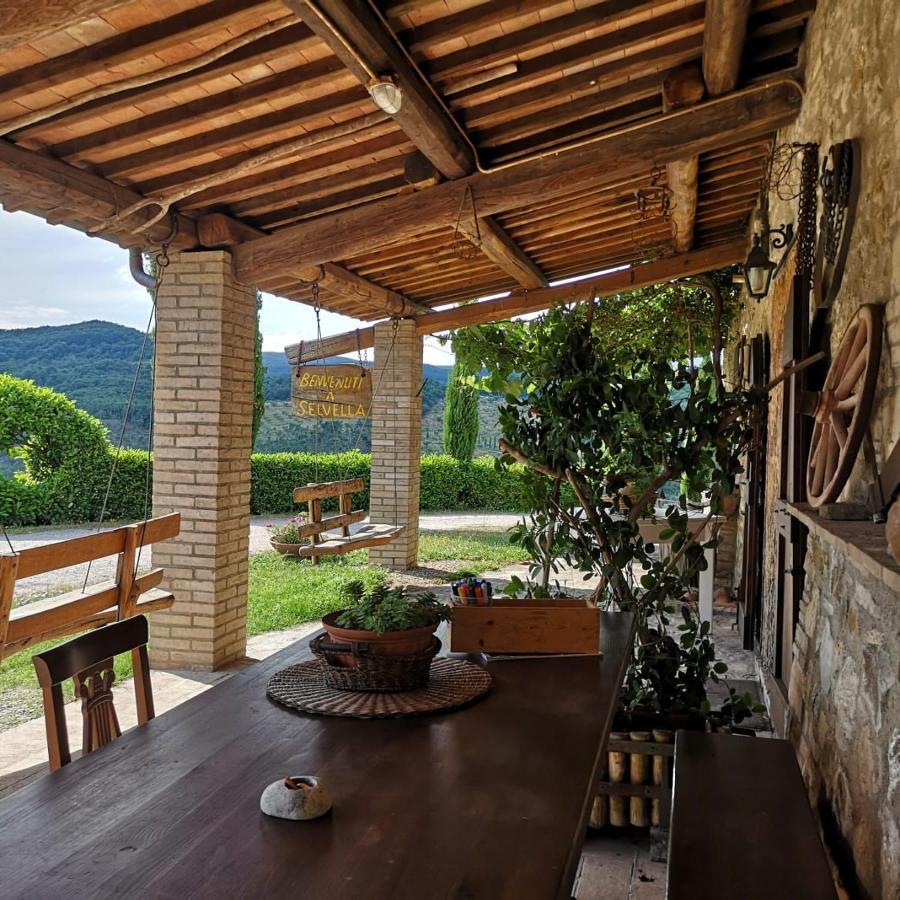 Agriturismo Selvella Allerona ภายนอก รูปภาพ