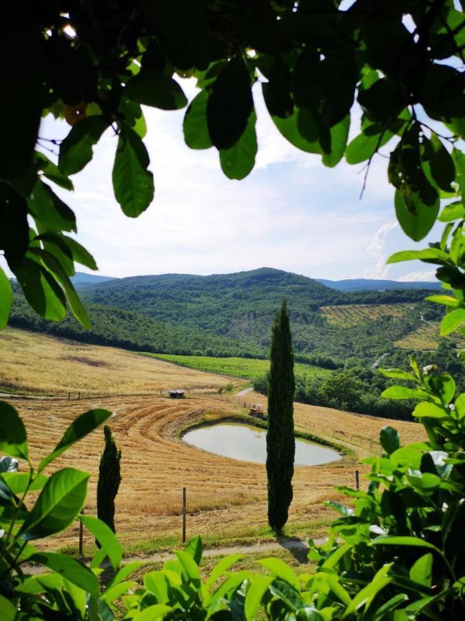 Agriturismo Selvella Allerona ภายนอก รูปภาพ