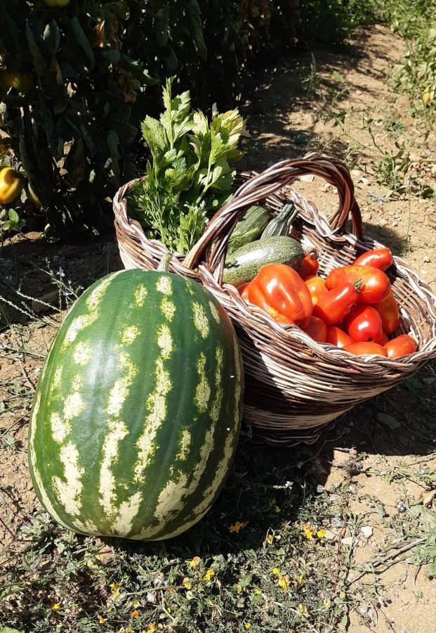 Agriturismo Selvella Allerona ภายนอก รูปภาพ