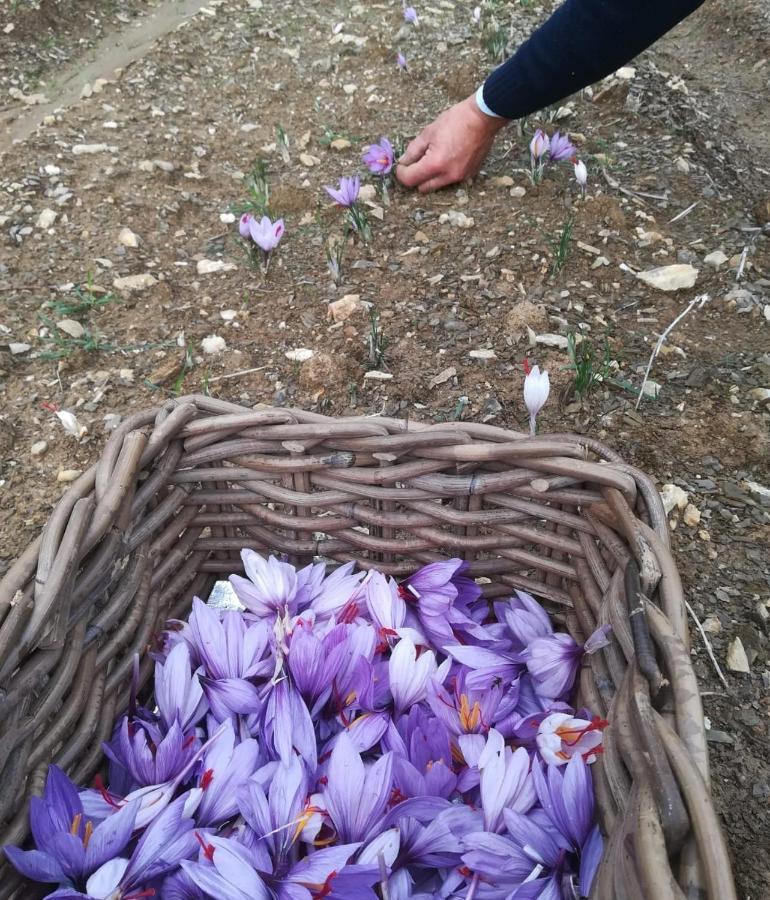 Agriturismo Selvella Allerona ภายนอก รูปภาพ