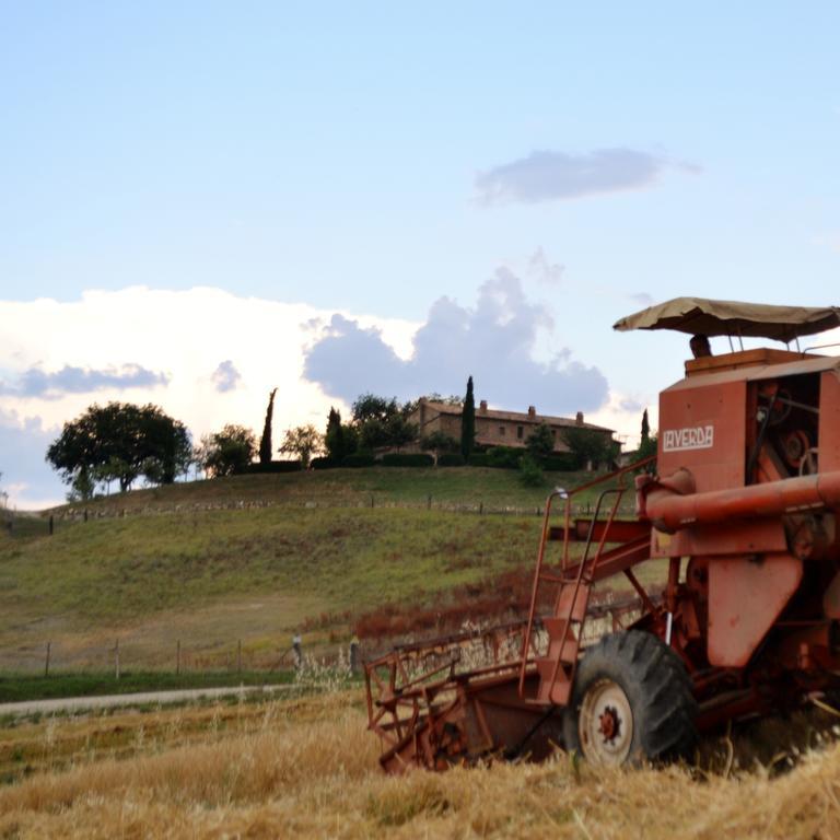 Agriturismo Selvella Allerona ภายนอก รูปภาพ